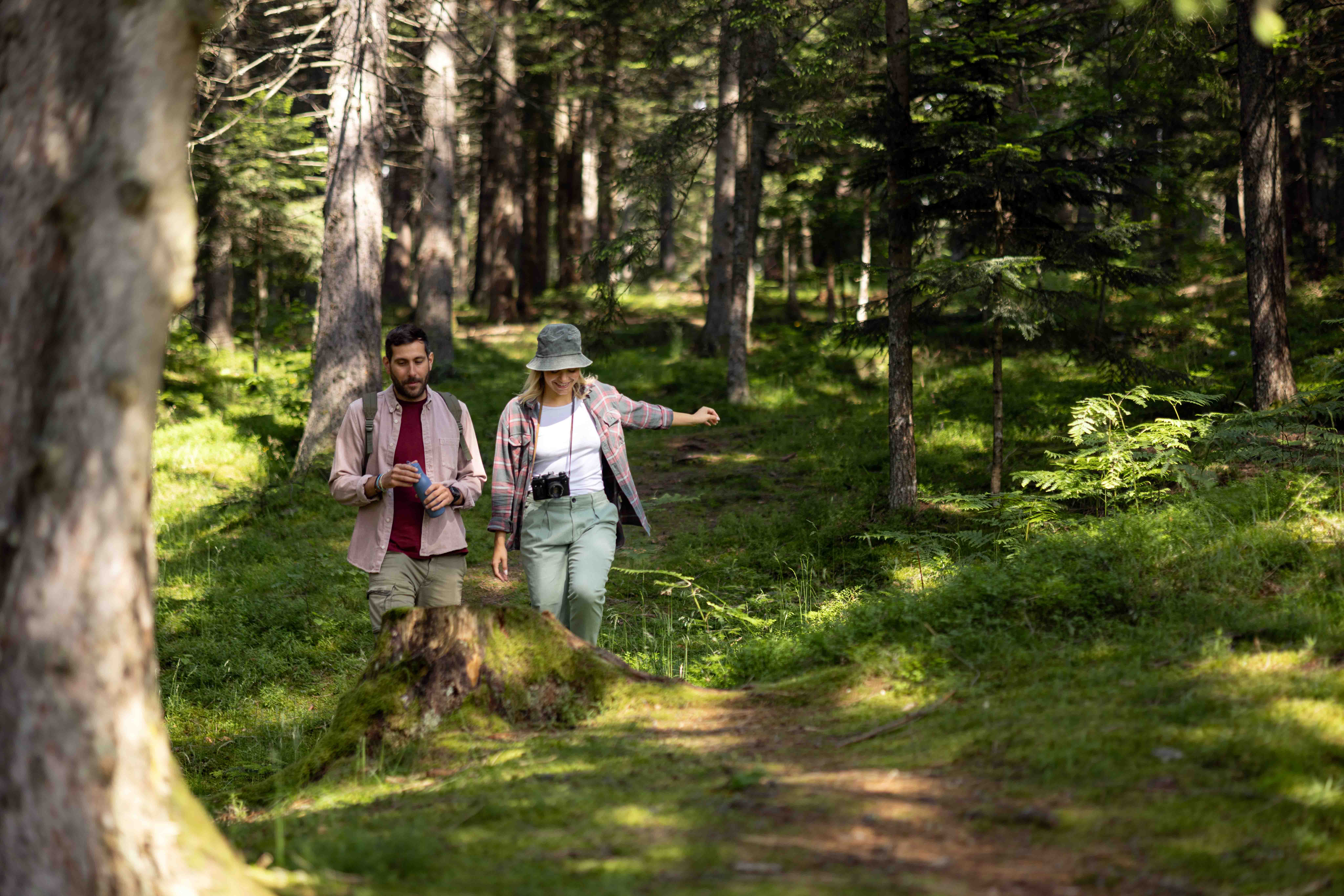 Quand et comment se protéger des tiques ?