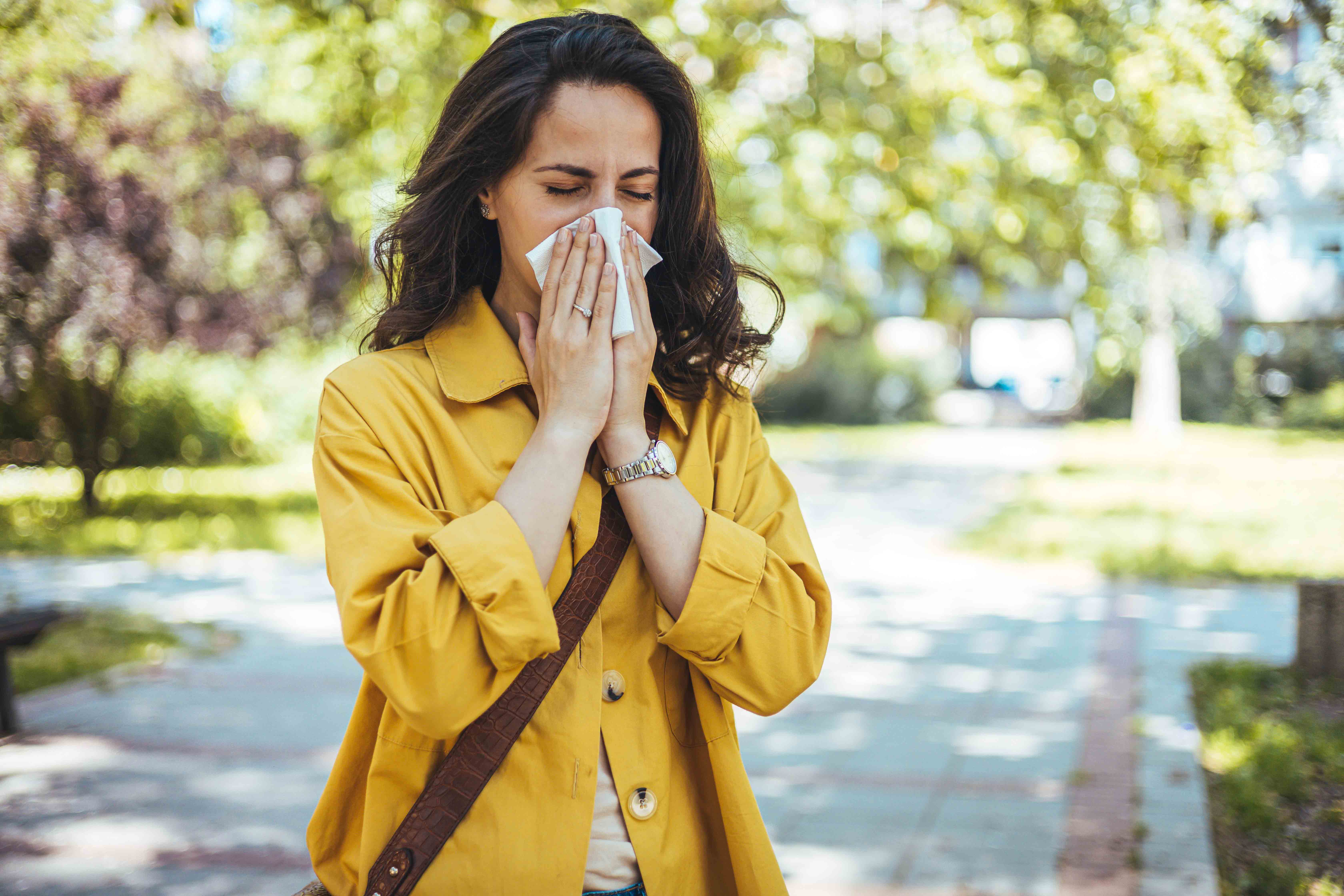 Allergie aux pollens : décrypter le vrai du faux