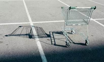 Sobriété et consommation : vers un nouveau mode de vie ?