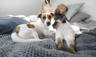 Animaux de compagnie : un questionnaire sur l’attachement à son chien ou son chat