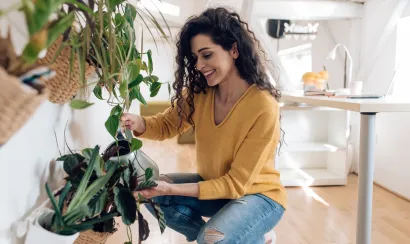 Les plantes peuvent-elles réellement dépolluer nos intérieurs ?