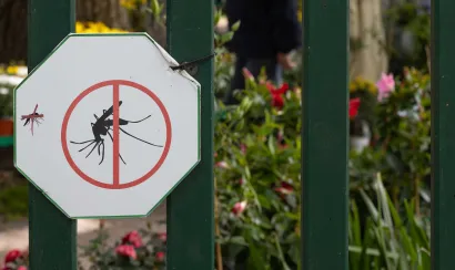 Virus West Nile : faut-il désormais avoir peur du moustique commun ?