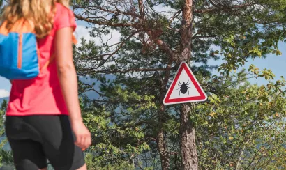 Maladie de Lyme : comment se protéger des tiques ?