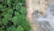 Quels sont les liens entre perte de biodiversité et santé humaine ?