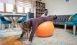Quelles solutions pour muscler et détendre le dos ?
