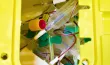 Où jeter ses déchets médicaux ?