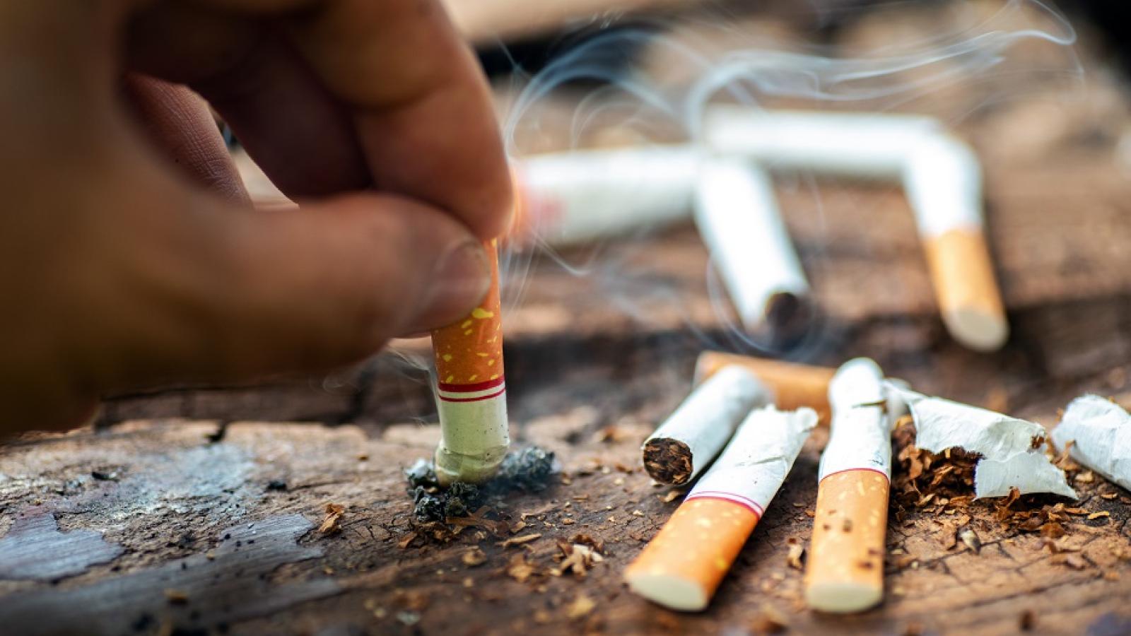 Hausse du prix du tabac : quelles conséquences sur la consommation ?